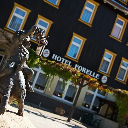 Forelle Ortsteil Treseburg Hotel 3*