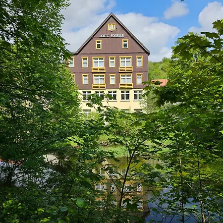 Greenline Forelle 3* Thale