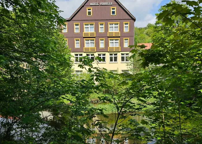 Forelle Ortsteil Treseburg 3* Thale